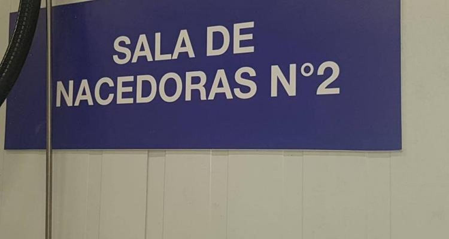 Coronavirus: Coto no informó aún los resultados de los más de 30 hisopados de la planta de ruta 9