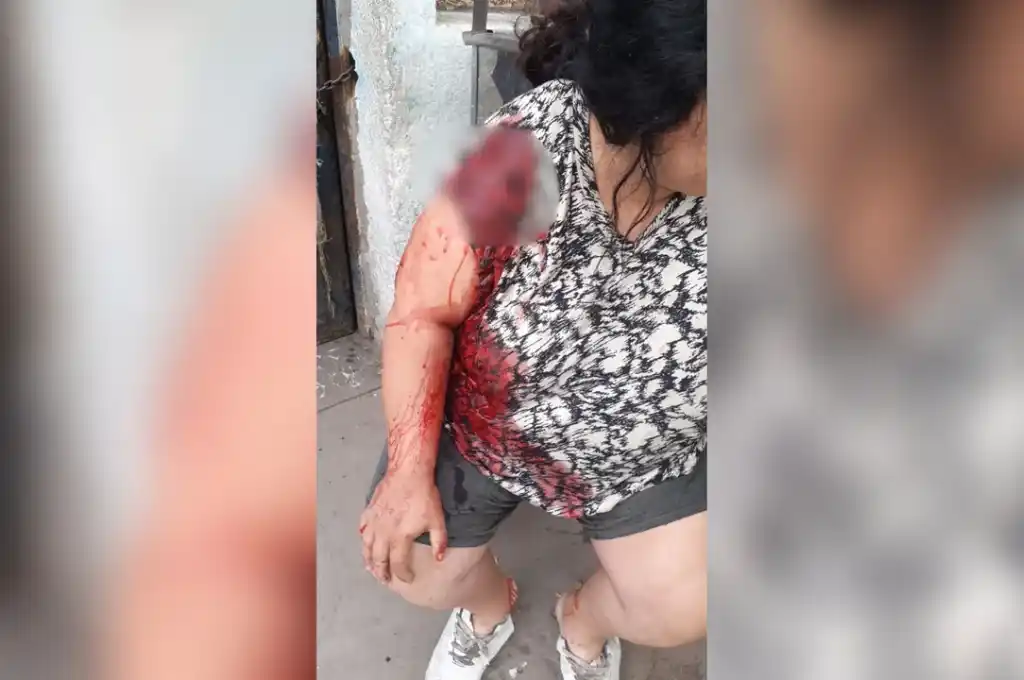 apuñalo a la mami 2