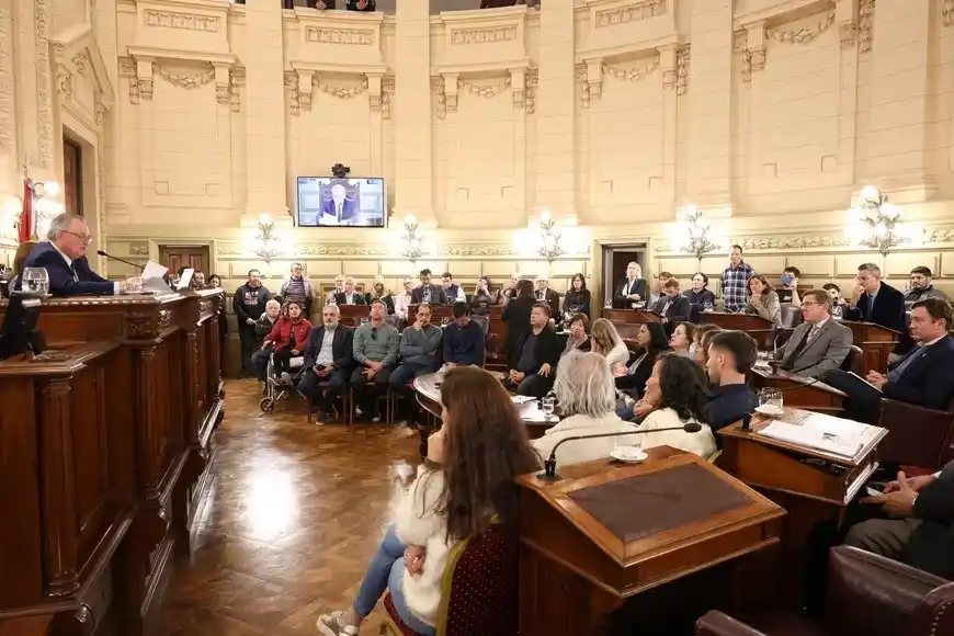 Cámara de senadores