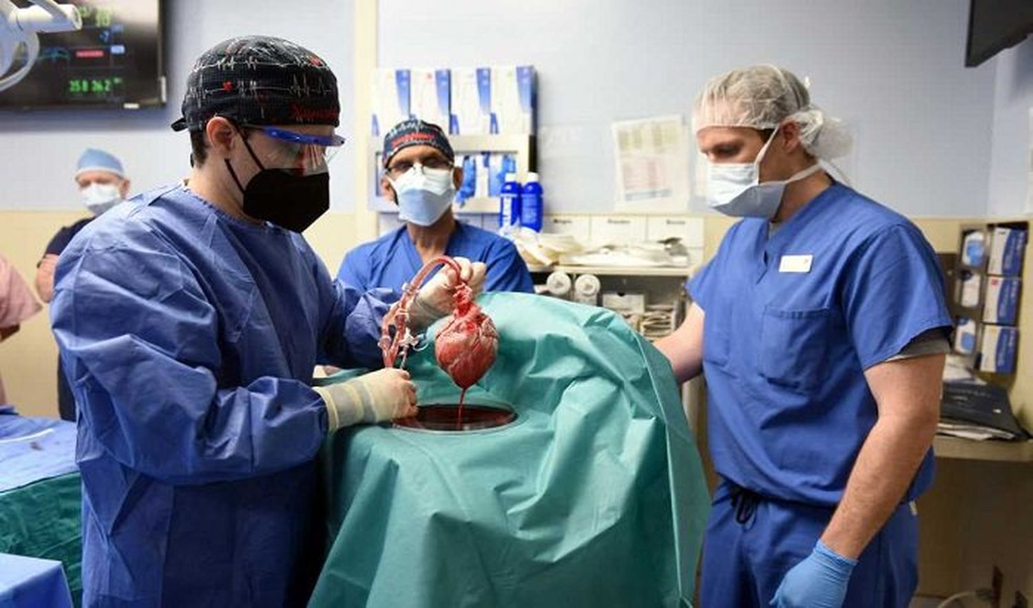 ¡HISTÓRICO! En EE.UU. logran el primer trasplante de corazón de cerdo a un humano