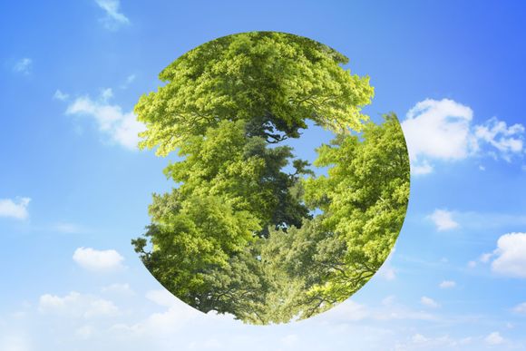 El desafío de identificar estrategias que maximicen la captura de carbono de los suelos