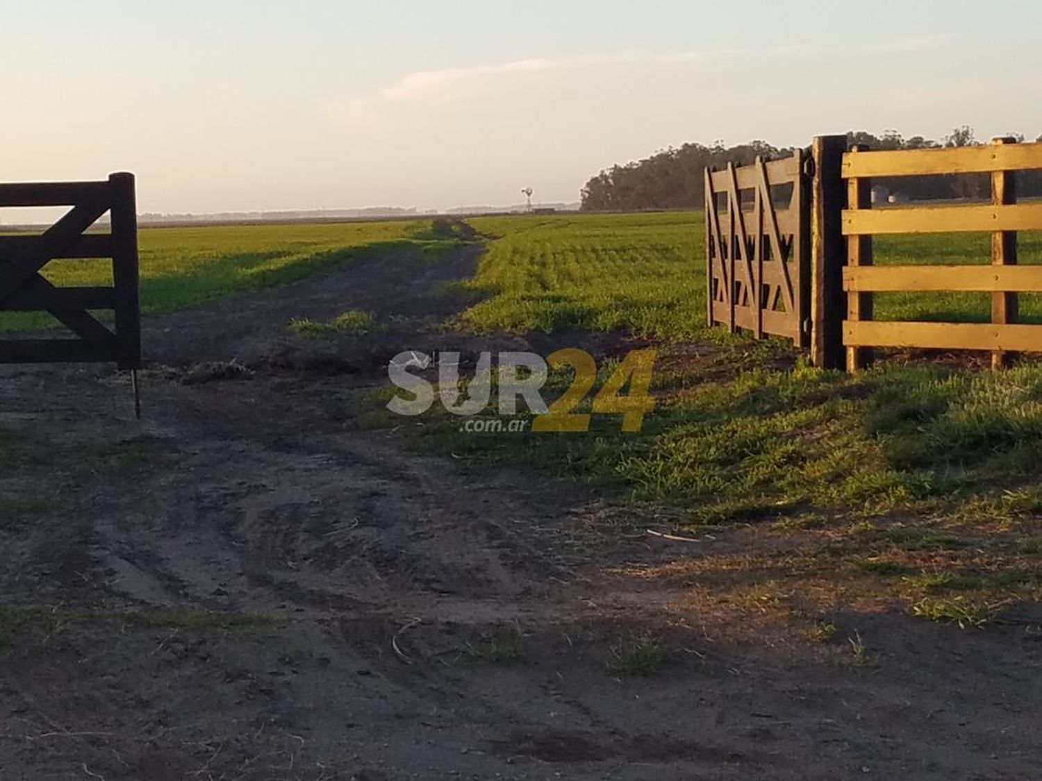 Delitos rurales: presidente comunal estalló de bronca ante la impunidad