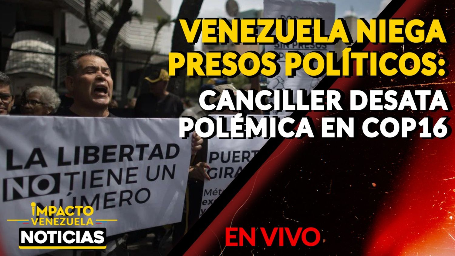 VENEZUELA NIEGA PRESOS POLÍTICOS: Canciller desata polémica en COP16- VIDEO