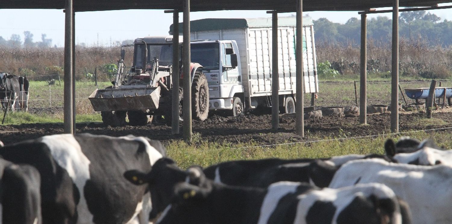 La provincia otorgará créditos a tamberos