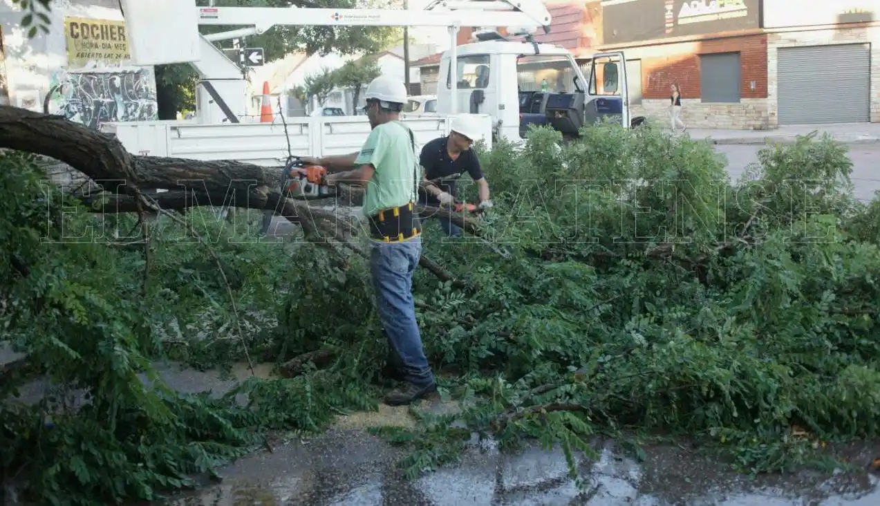 El temporal de la madrugada generó inconvenientes en el sur y el centro