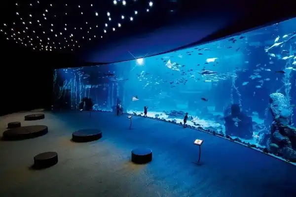 oceanario de Hurghada, Egipto, en la costa del Mar Rojo