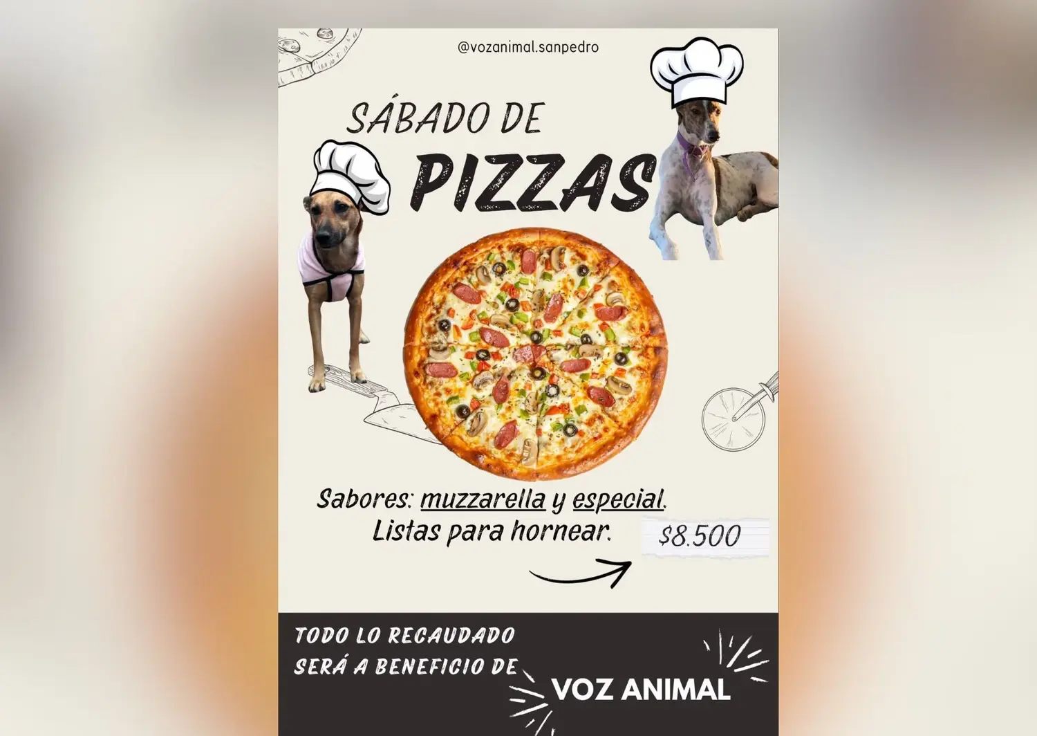 Venta de pizzas a beneficio de los perritos rescatados de Voz Animal