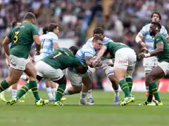 Los Pumas ya piensan en la ventana europea de noviembre