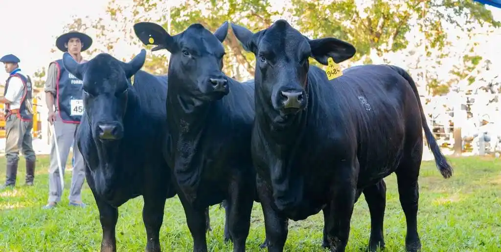 “La rebaja de retenciones es un incentivo directo a la producción”, aseguró Víctor Caballero