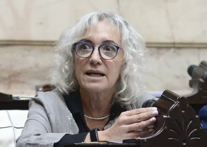 Mónica Frade, de la Coalición Cívica