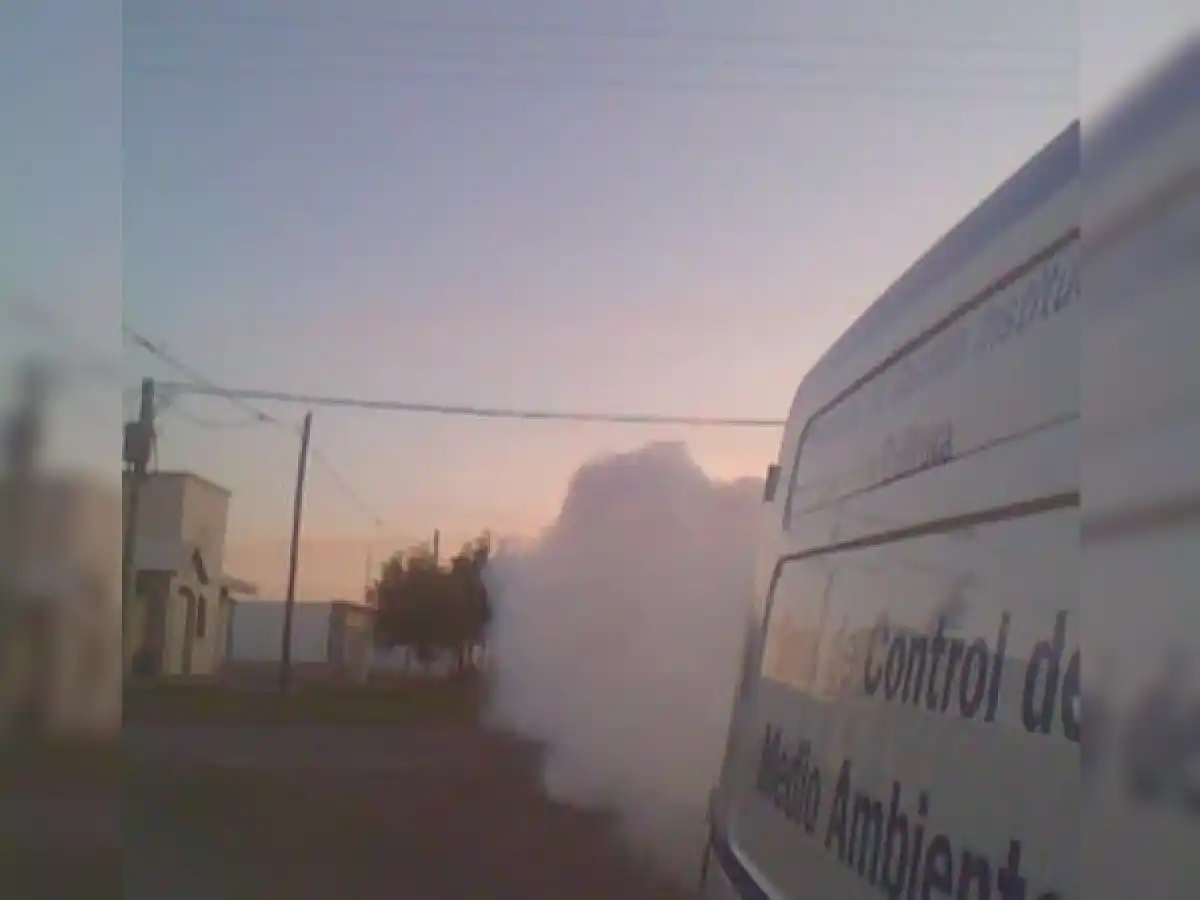 Por el dengue también fumigan en barrios de la ciudad