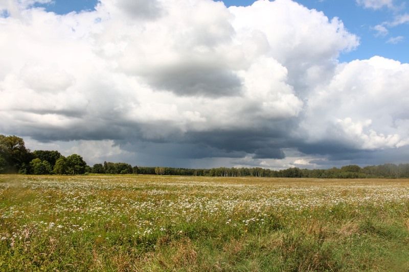 Parece que el campo no tendrá una feliz primavera