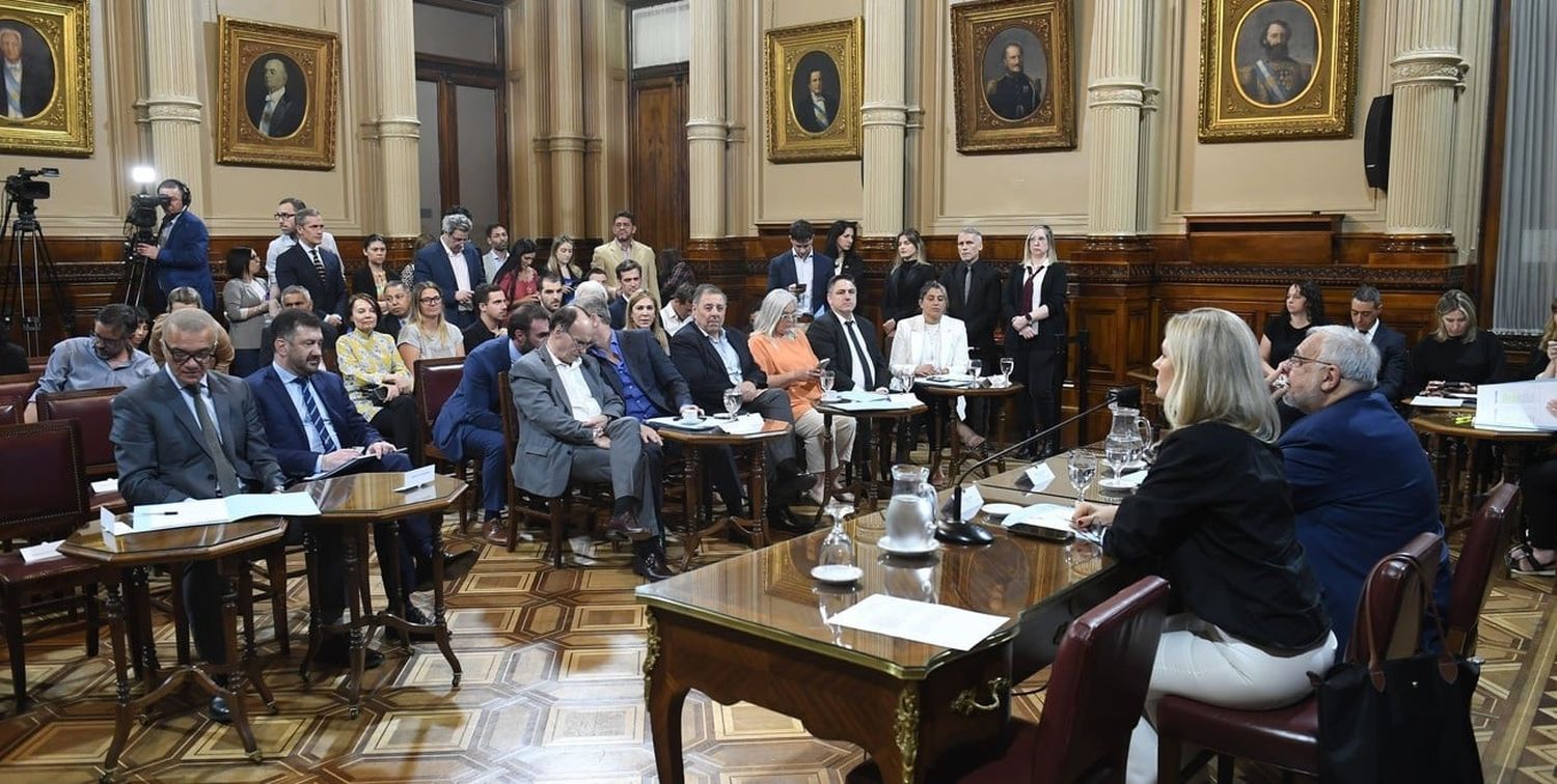 Dictámenes en la reunión plenaria de comisiones de Seguridad Interior y Narcotráfico y de Justicia y Asuntos Penales de la Cámara alta de la Nación. Foto: HCSN.