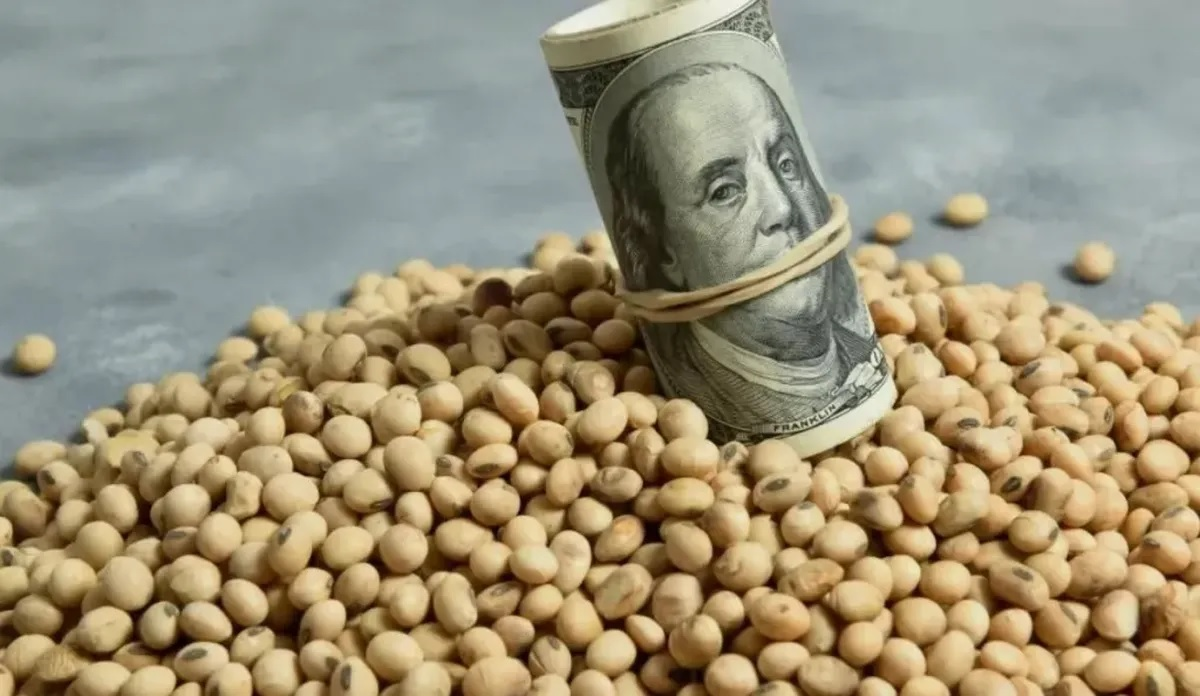 Dólar soja: el balance final de las dos etapas del Programa