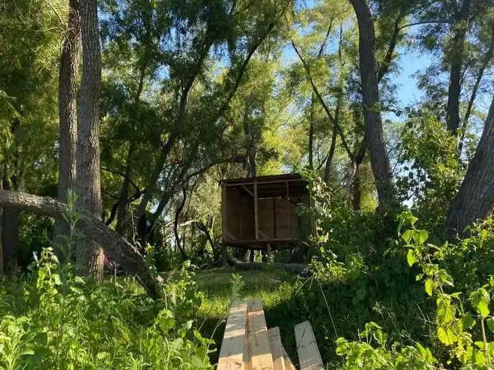 Denunciaron un intento de ocupación en la Isla de Los Mástiles