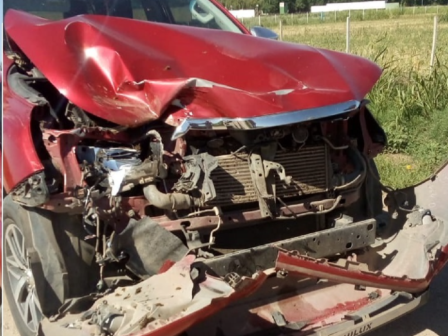 Una camioneta embistió a caballo en el camino a Plaza San Francisco