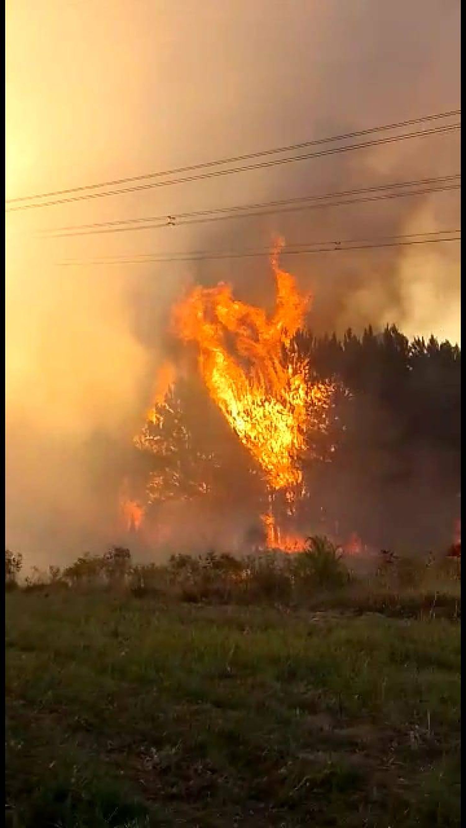 Nuevo incendio forestal en Concordia