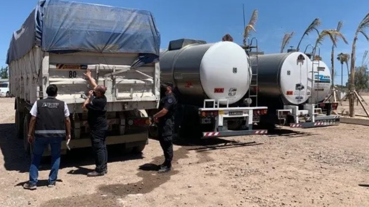 AFIP evitó la exportación fraudulenta de 915 toneladas de maíz y aceite