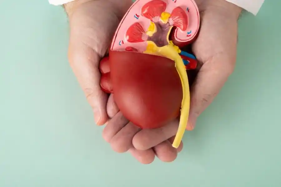 Concientización por el Día mundial del Riñón