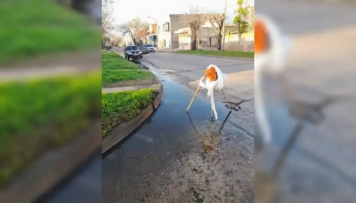 Pérdida de agua en la esquina de Pellegrini e Italia