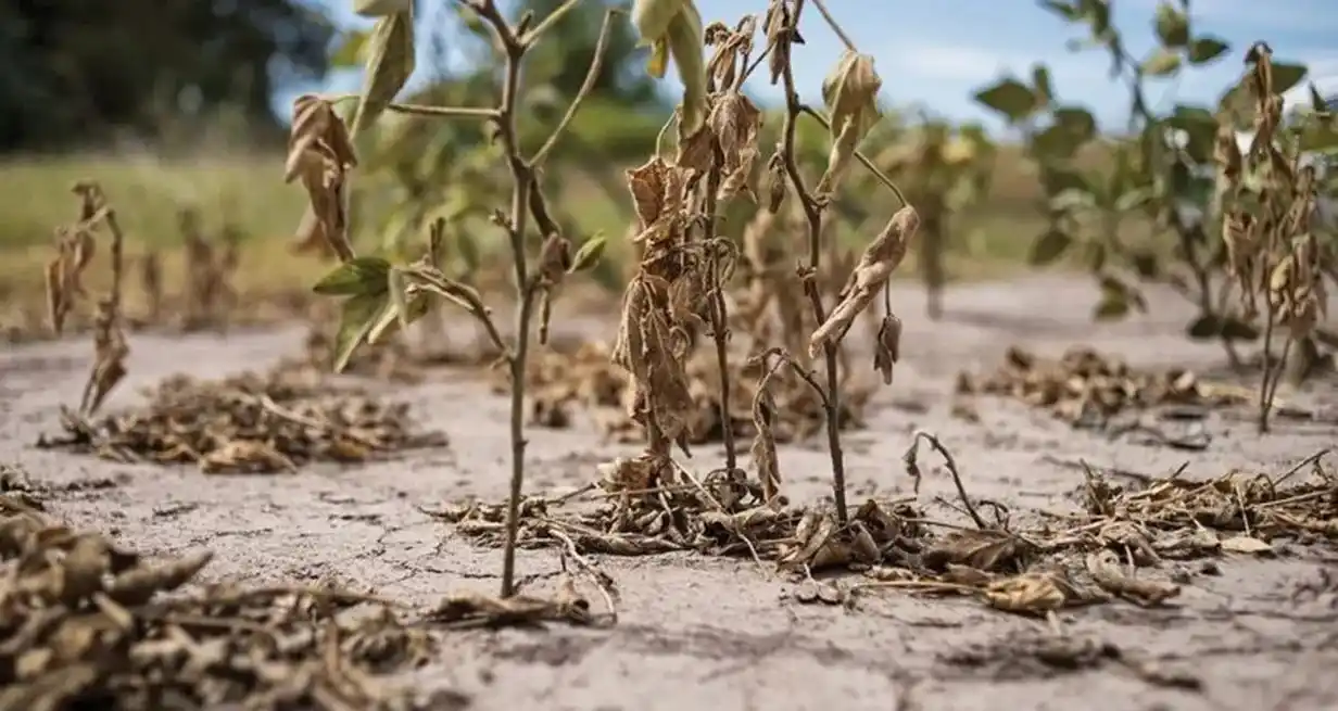 La humanidad ya consumió los recursos naturales previstos para todo 2023