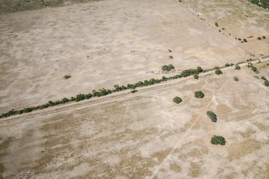 Santa Fe en emergencia por sequía
