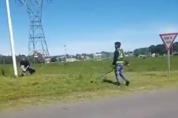 El Municipio de Tandil inició tareas de corte de pasto en las rutas 226 y 30