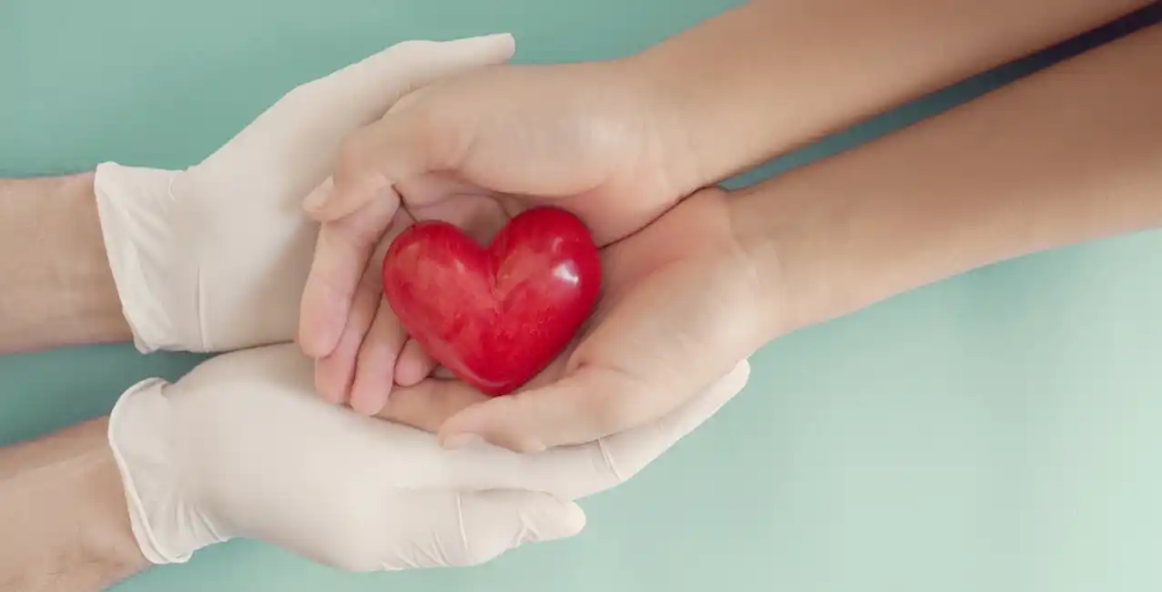 14 de octubre: se conmemora el Día Internacional de la Donación de Órganos, Tejidos y Trasplantes