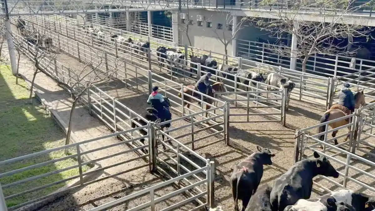 Mercado Agroganadero (MAG) de Cañuelas