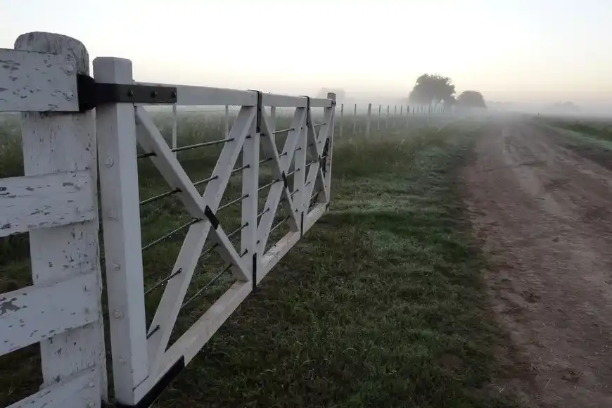 Campo. Mercado inmobiliario rural