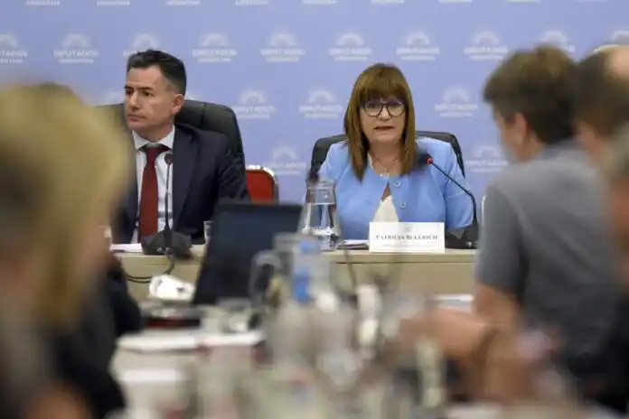 Ley ómnibus: Bullrich anunció que se quitará el artículo que obligaba a pedir permiso para reuniones de más de tres personas