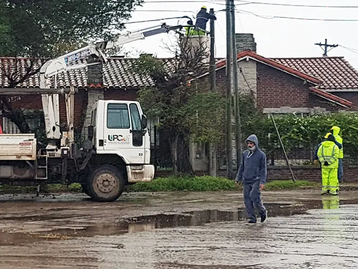 Temporal. Cayeron árboles y volaron techos