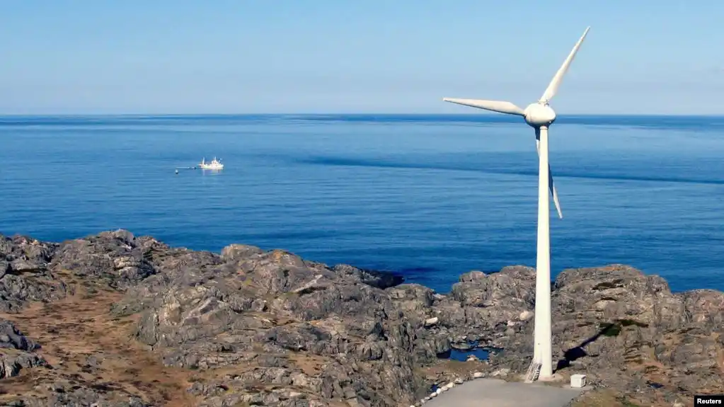 Informe revela que los océanos proporcionarían proteína animal necesaria para alimentar al mundo