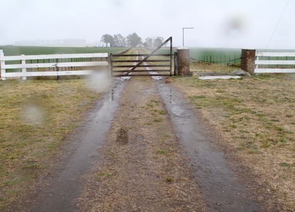 El campo adelantó el festejo de la primavera con buenas lluvias