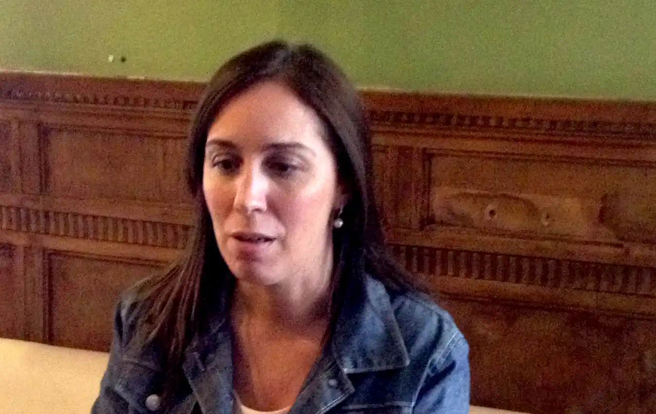 Elecciones 2015: Vidal aseguró que el Pro tiene "la puerta abierta" para una alianza con Unen