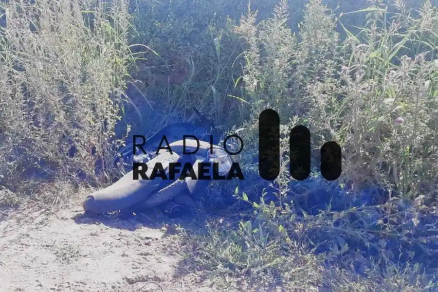 Luego de ingresar a un domicilio, abandonaron la moto que habían robado