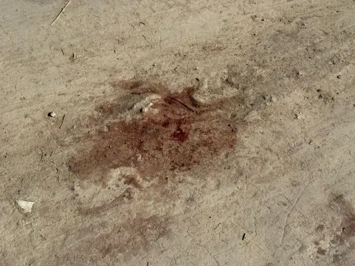 Brutal homicidio en Entre Ríos: así quedó el lugar donde asesinaron a un joven de 30 años