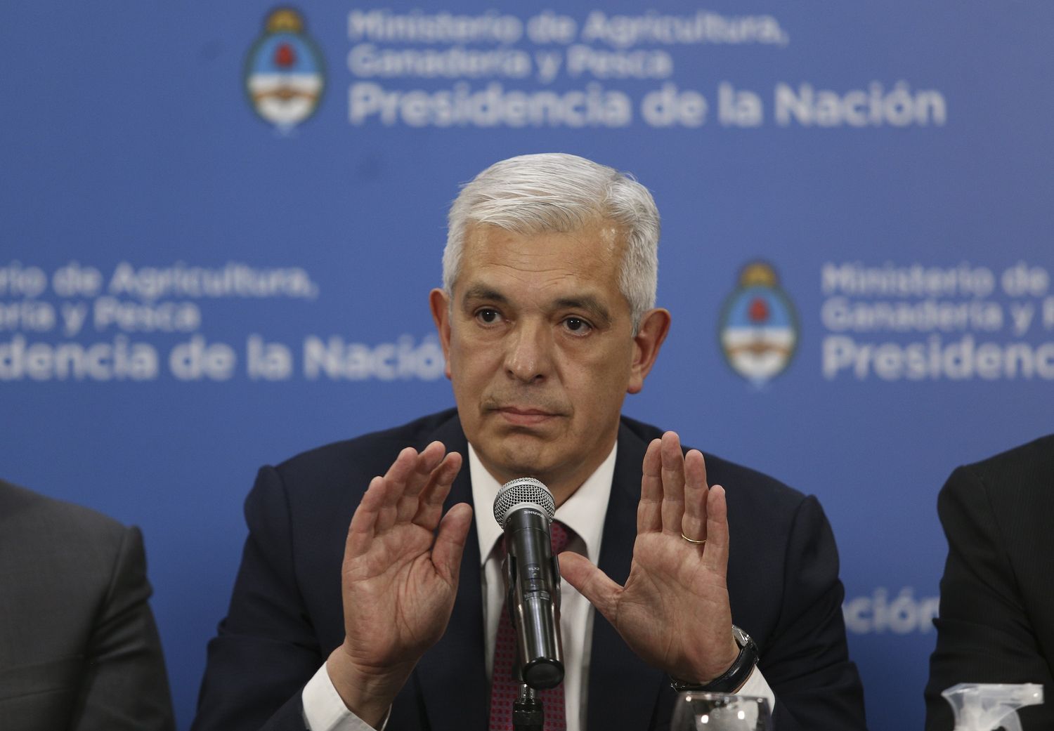 El Gobierno flexibiliza el cepo las exportaciones de carne