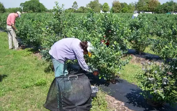 Productores presentaron ante la Nación “la compleja situación”