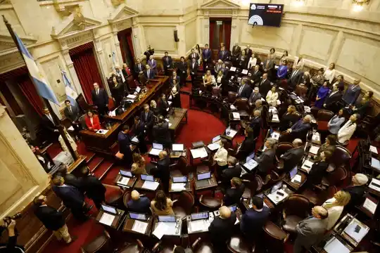 El Senado de la Nación.