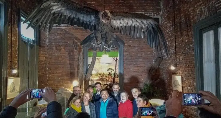 Un cóndor prehistórico gigante en el Museo Paleontológico