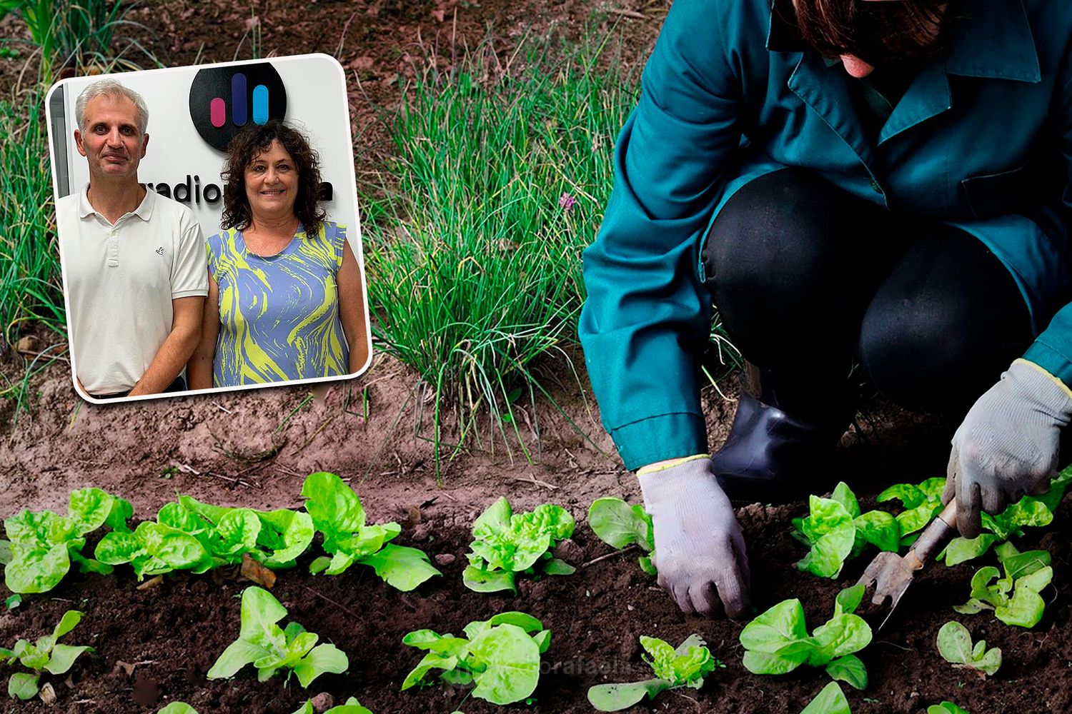 Rafaela abrirá sus puertas al primer encuentro de producciones alternativas y empleo verde: “Estamos entusiasmados”