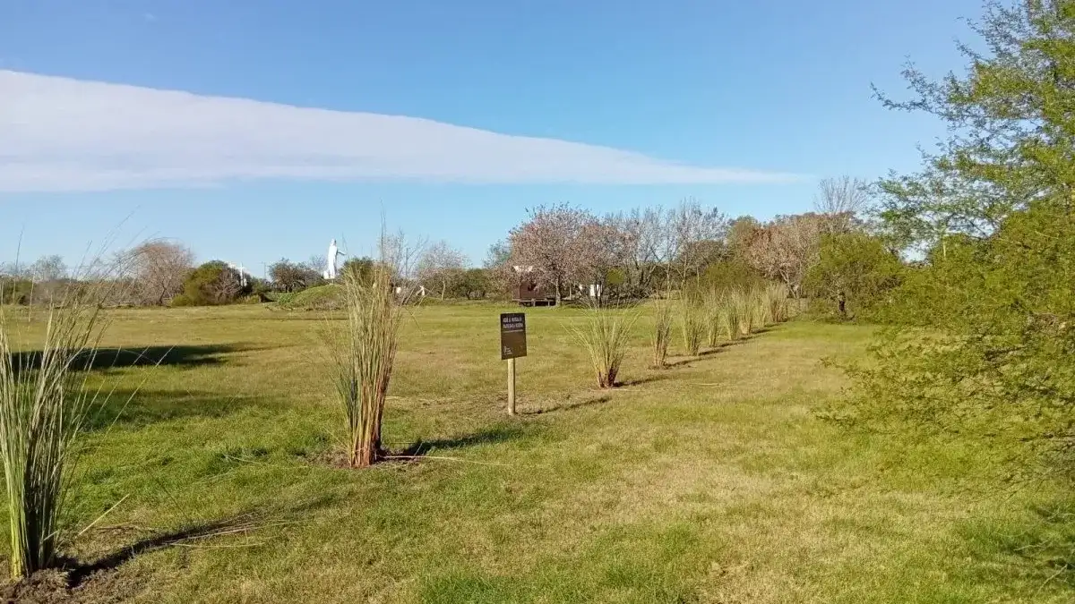 Implementan un nuevo plan de manejo de los pastizales nativos del Parque Florístico