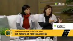 El funcionamiento de la terapia intensiva pediátrica