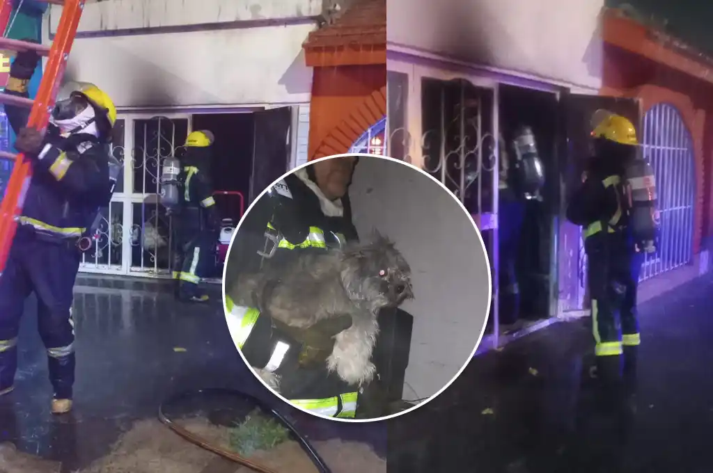 Los Bomberos Voluntarios de Frontera le salvaron la vida a un perrito atrapado en un incendio