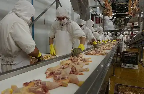 Advierten que productores de pollos atraviesan una “situación límite”