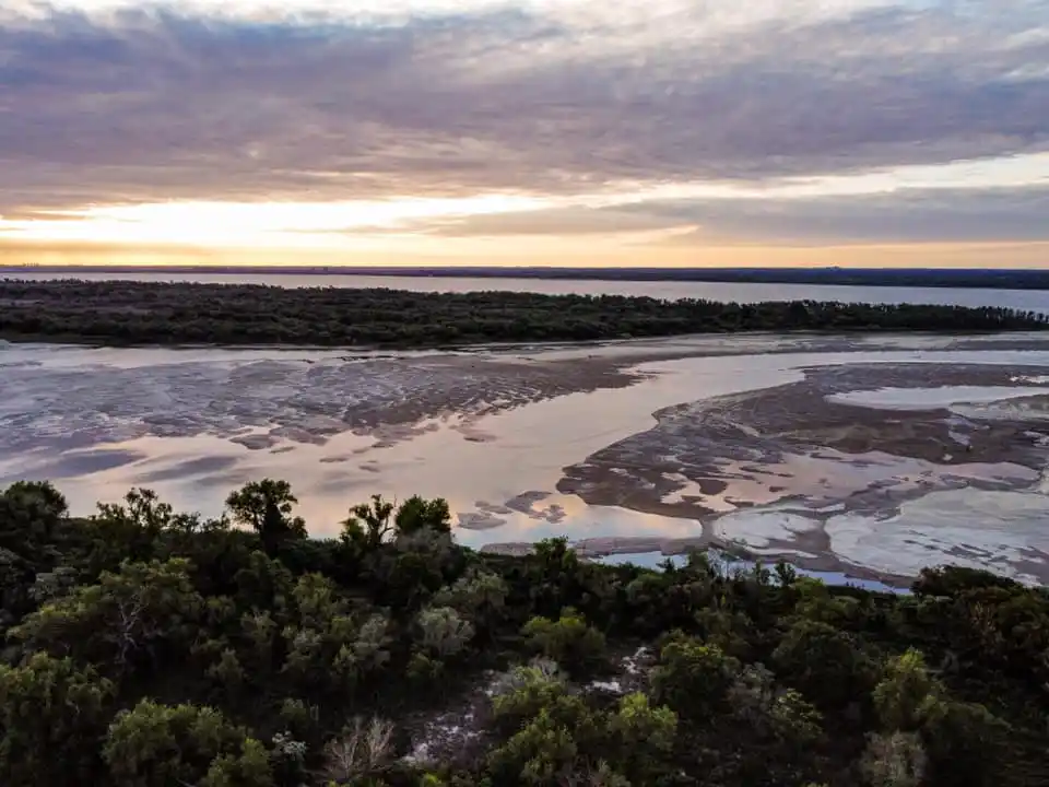Frigoríficos de pescados fijaron postura ante la bajante del río