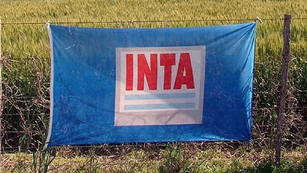El Gobierno avanzó con la reducción del INTA.
