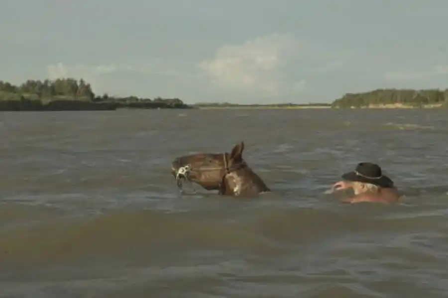 Proyectos audiovisuales santafesinos participan de Encuentros BioBiocine