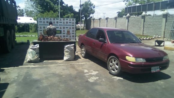 Judicializan a ciudadanos por porte ilegal de cobre y marihuana en estado Bolívar